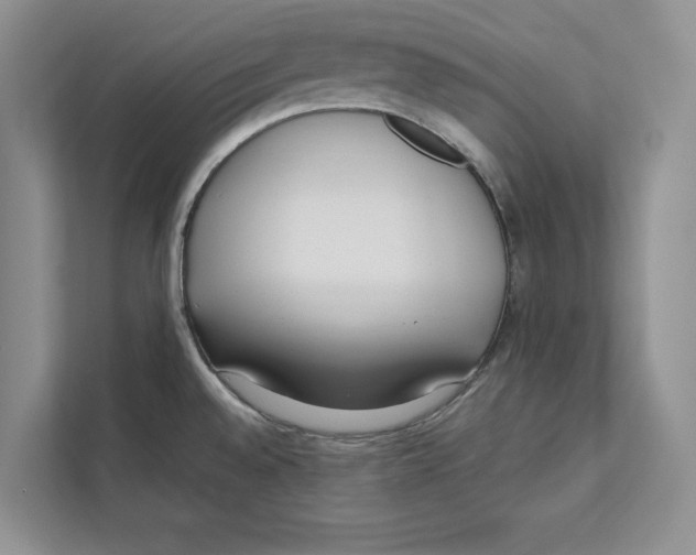 X0000110911528200907161448