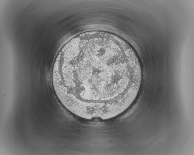 X0000110911529200907161448