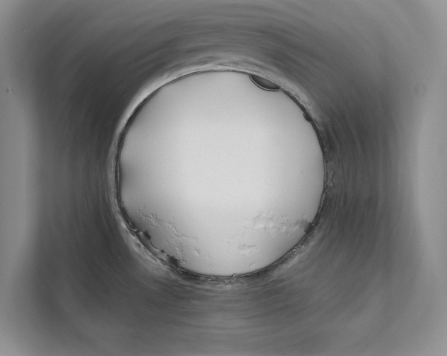 X0000110911530200907161448