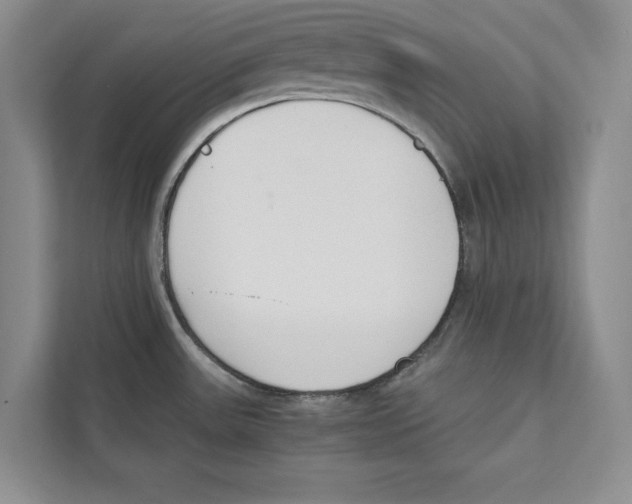 X0000110911531200907161448