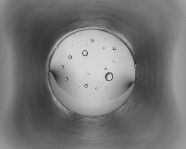 X0000110911532200907161448