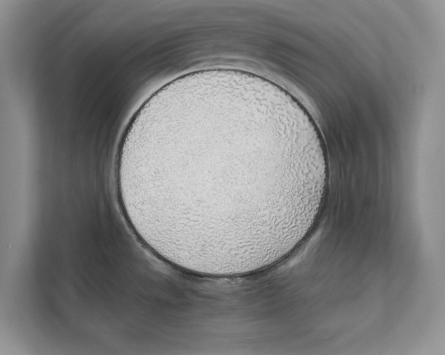 X0000110911533200907161448