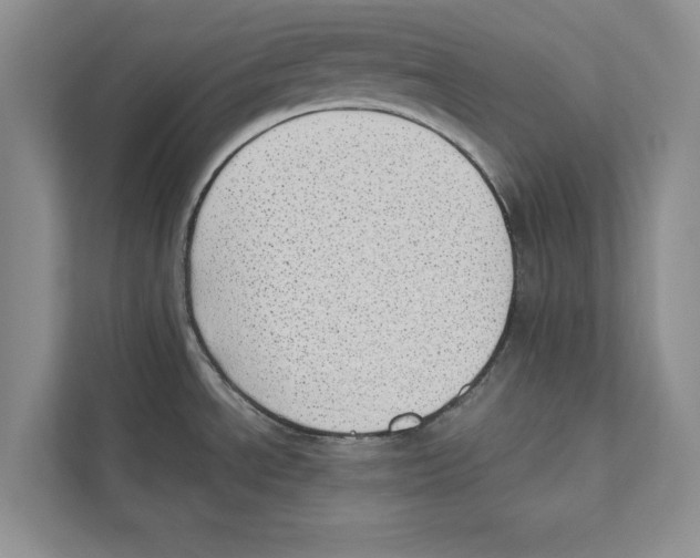 X0000110911534200907161448