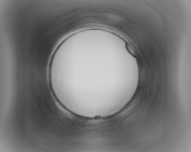 X0000110911535200907161448