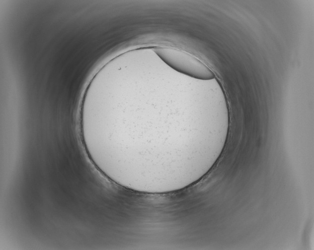 X0000110911536200907161448