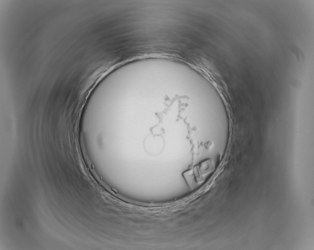 X0000110910001200907301551