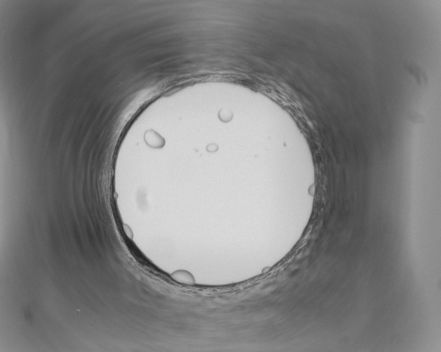 X0000110910003200907301551