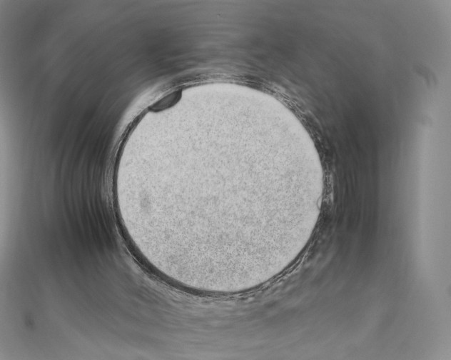 X0000110910004200907301551