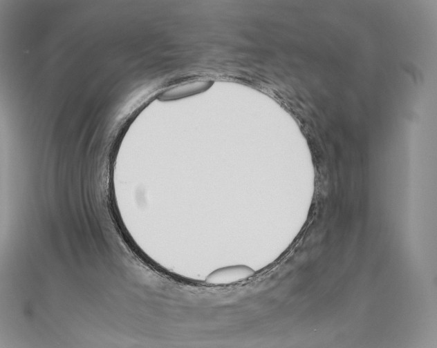 X0000110910005200907301551