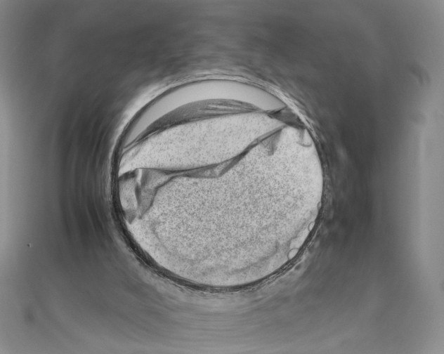 X0000110910008200907301551