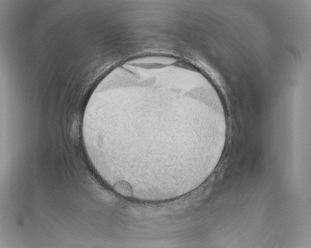 X0000110910009200907301551