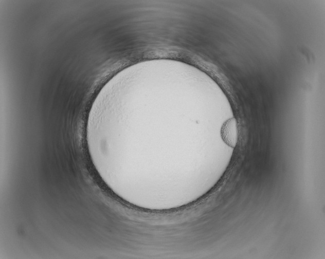 X0000110910010200907301551