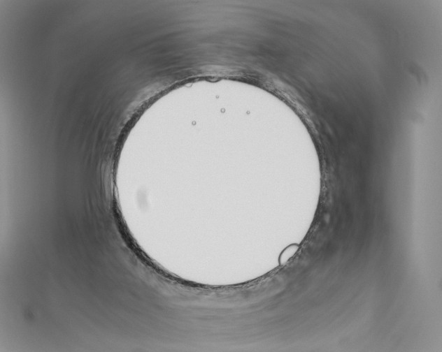 X0000110910011200907301551