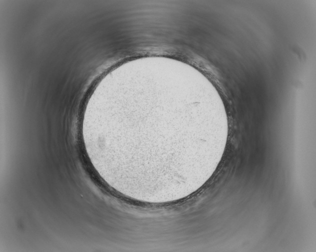 X0000110910012200907301551