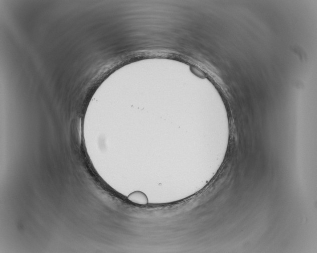 X0000110910013200907301551