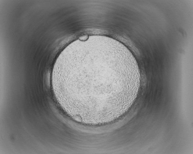 X0000110910014200907301551