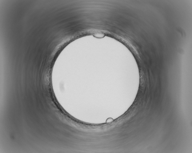 X0000110910015200907301551