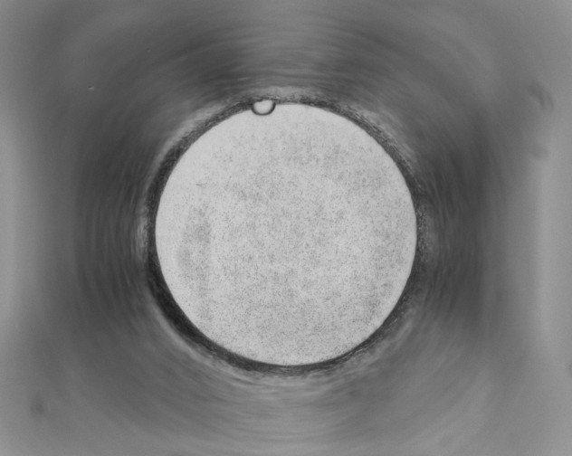 X0000110910016200907301551