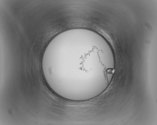 X0000110910017200907301551