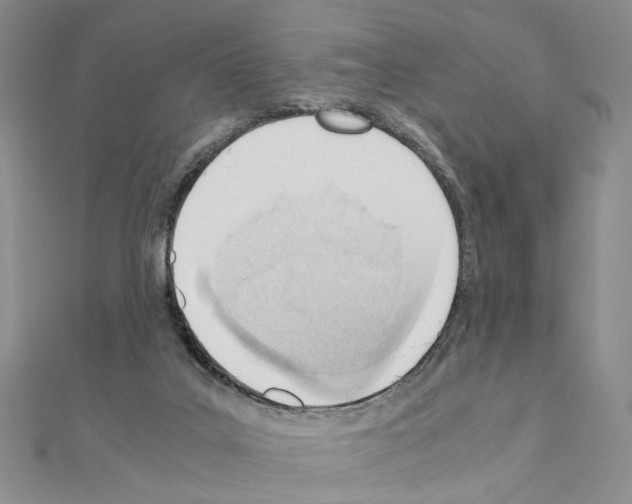 X0000110910019200907301551