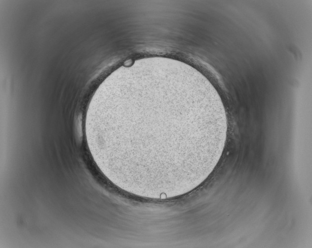 X0000110910020200907301551