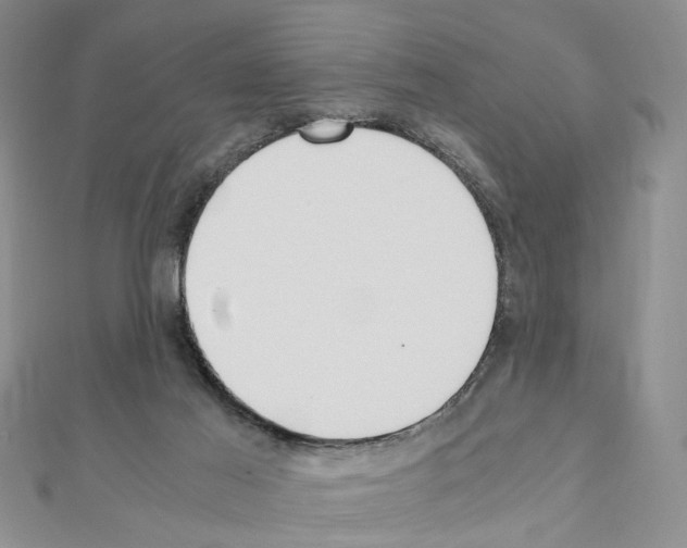 X0000110910021200907301551