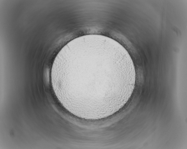 X0000110910022200907301551