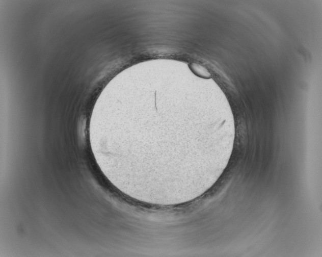 X0000110910024200907301551