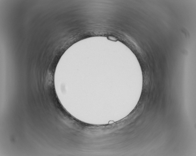 X0000110910025200907301551