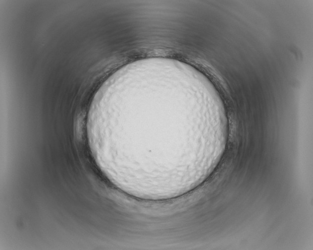 X0000110910026200907301551