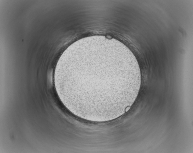 X0000110910028200907301551