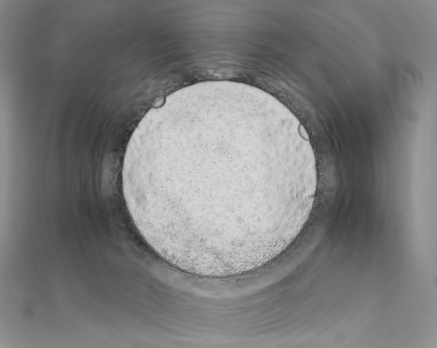 X0000110910030200907301551