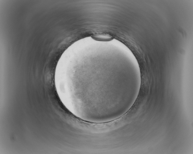 X0000110910031200907301551