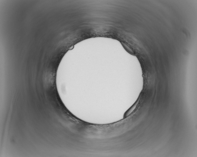 X0000110910033200907301551