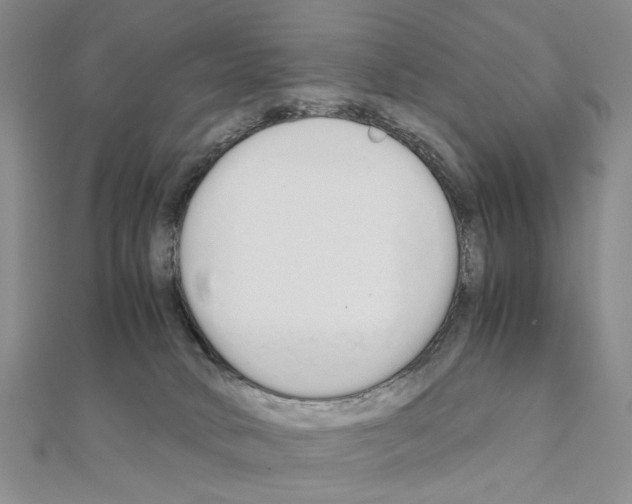 X0000110910034200907301551