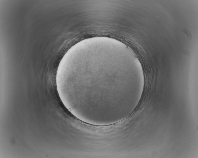 X0000110910035200907301551