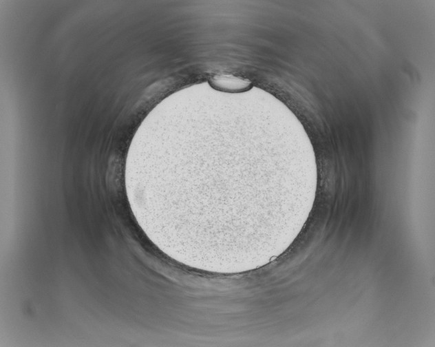 X0000110910036200907301551