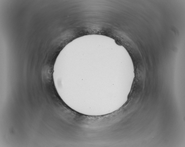 X0000110910037200907301551