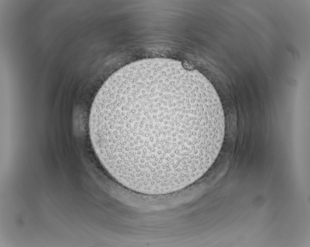 X0000110910038200907301551