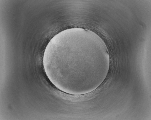 X0000110910039200907301551