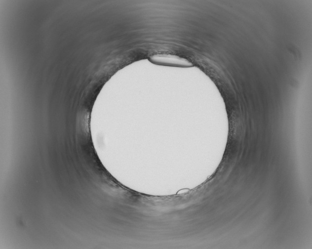 X0000110910041200907301551