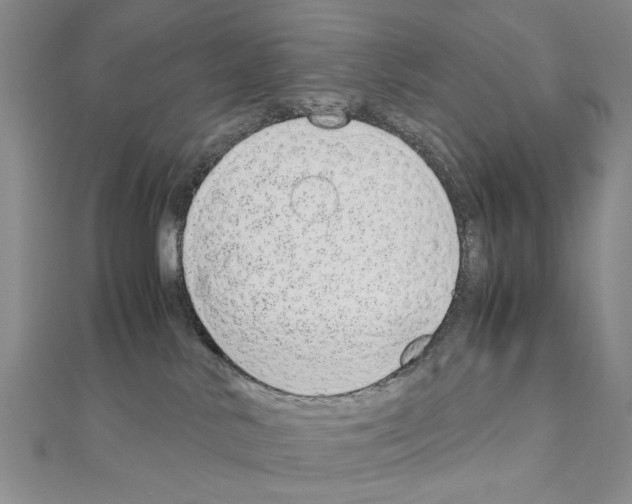 X0000110910042200907301551