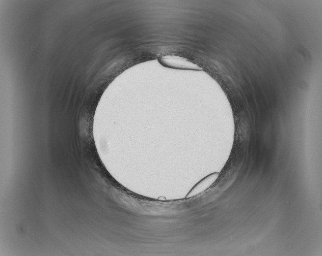 X0000110910044200907301551