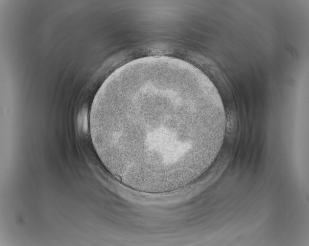 X0000110910046200907301551