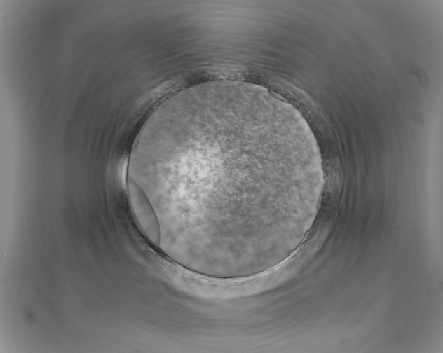 X0000110910047200907301550