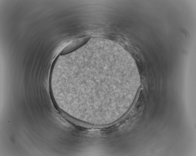 X0000110910052200907301550