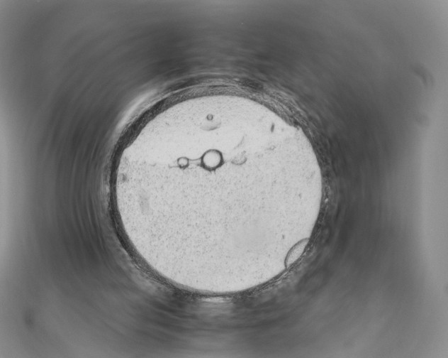 X0000110910053200907301550