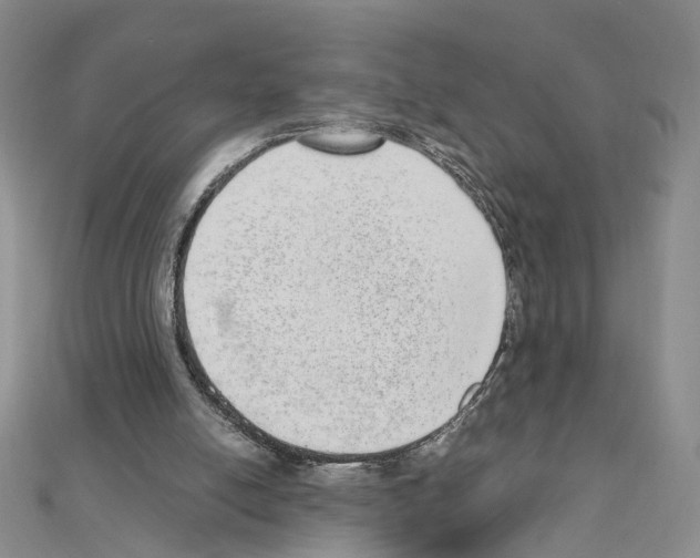 X0000110910054200907301550