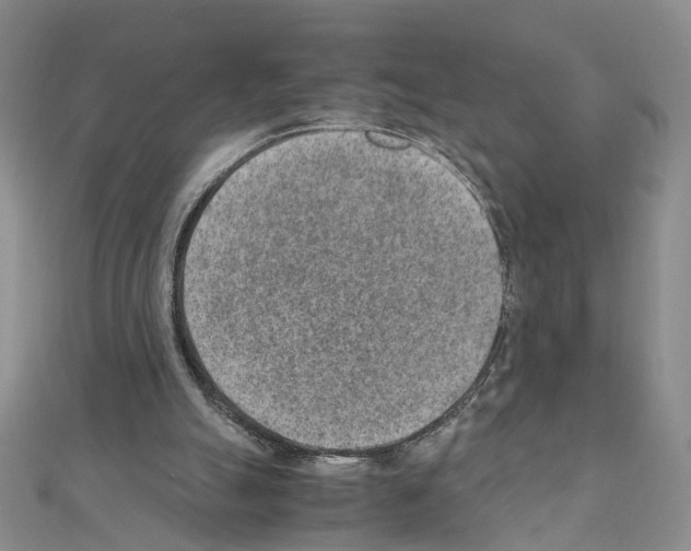 X0000110910055200907301550