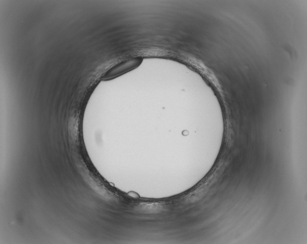 X0000110910057200907301550